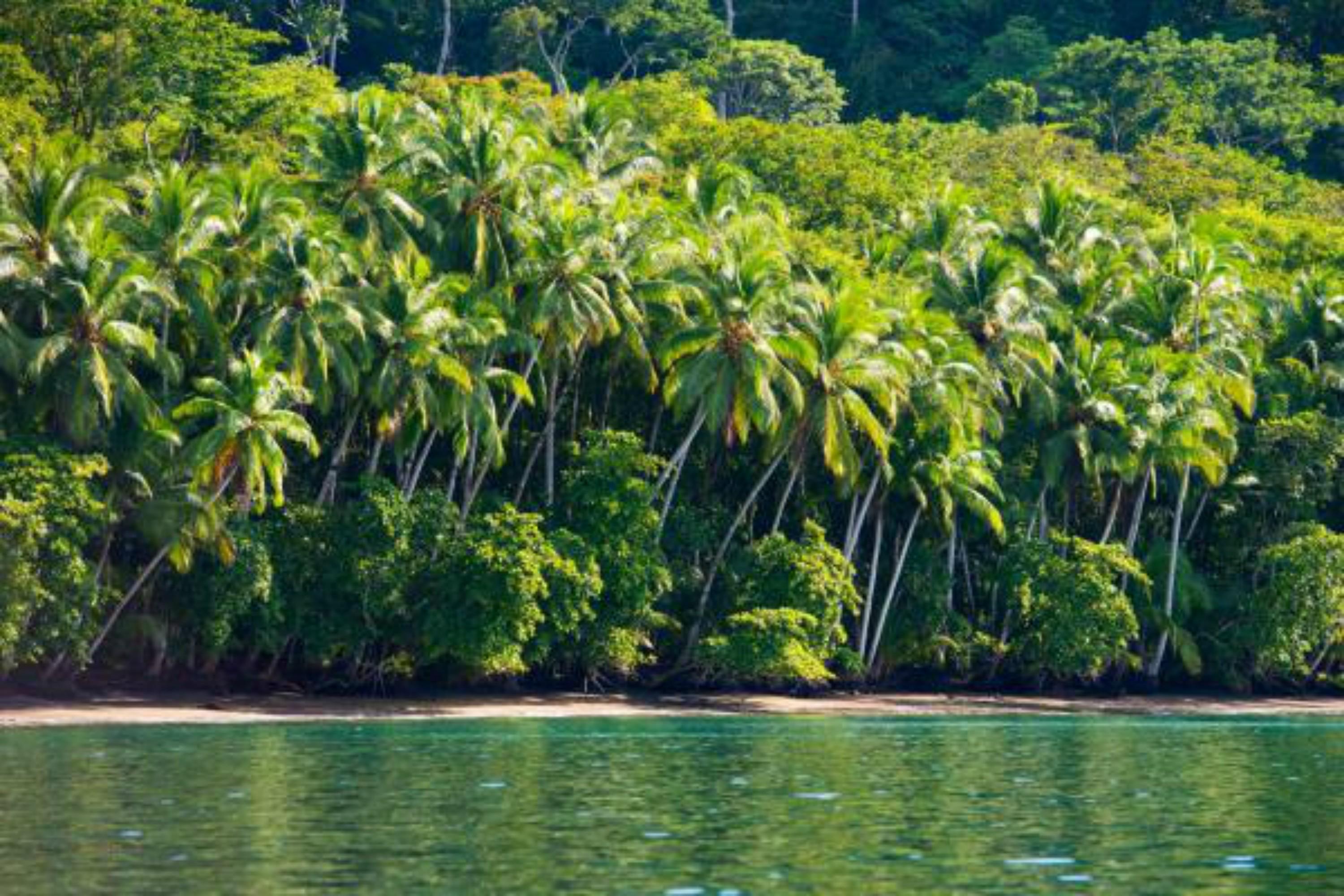Playa Nicuesa Rainforest Eco Sanctuary Golfito Zewnętrze zdjęcie