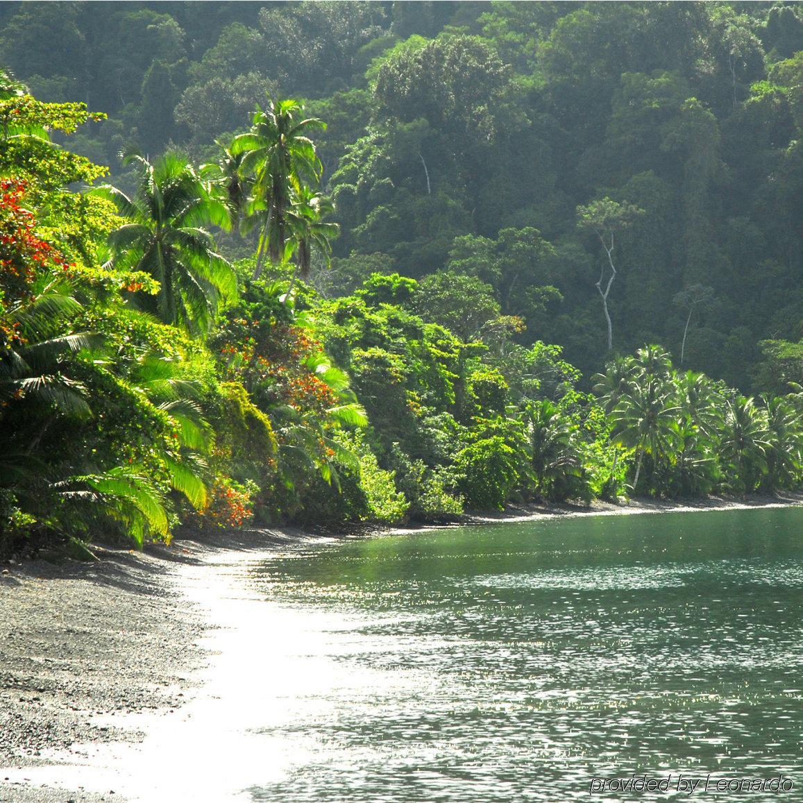 Playa Nicuesa Rainforest Eco Sanctuary Golfito Zewnętrze zdjęcie