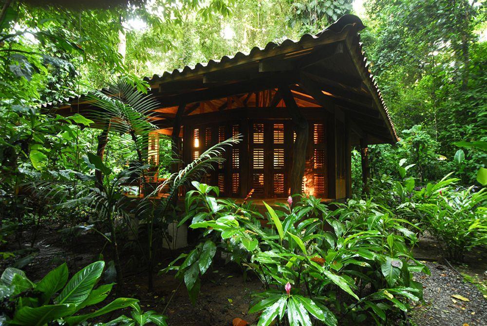 Playa Nicuesa Rainforest Eco Sanctuary Golfito Zewnętrze zdjęcie