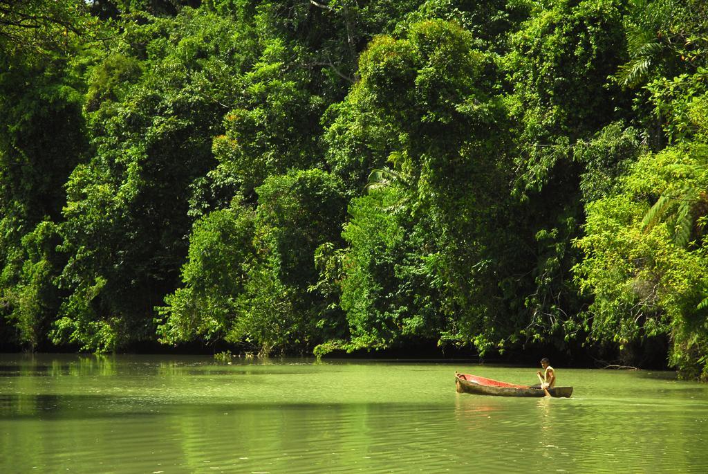 Playa Nicuesa Rainforest Eco Sanctuary Golfito Zewnętrze zdjęcie